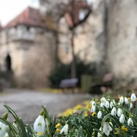 בית הארחה Gaestehaus Eberlein 3*